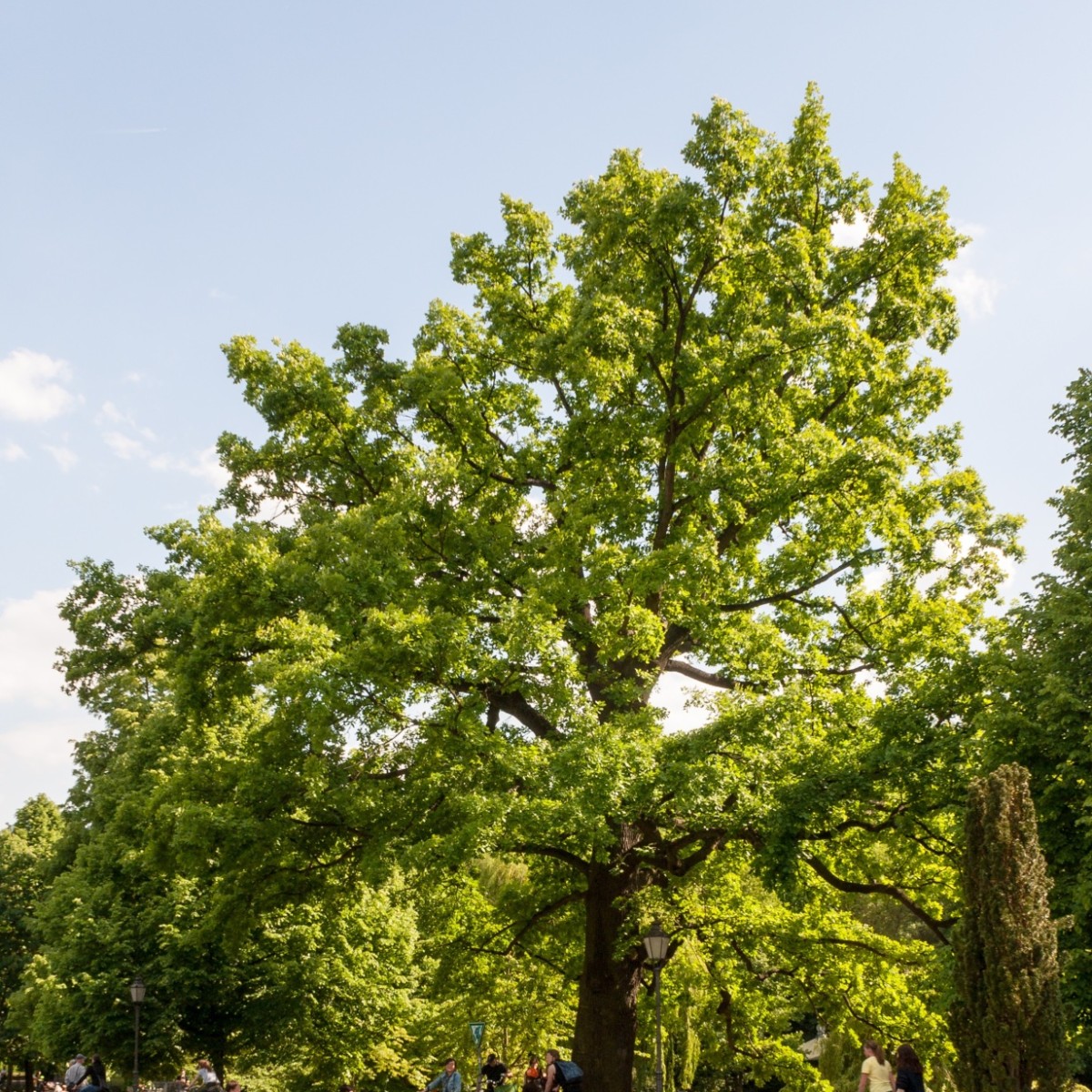 Antrag: Gemeinschaftsaufgabe „Klimaanpassung und Naturschutz