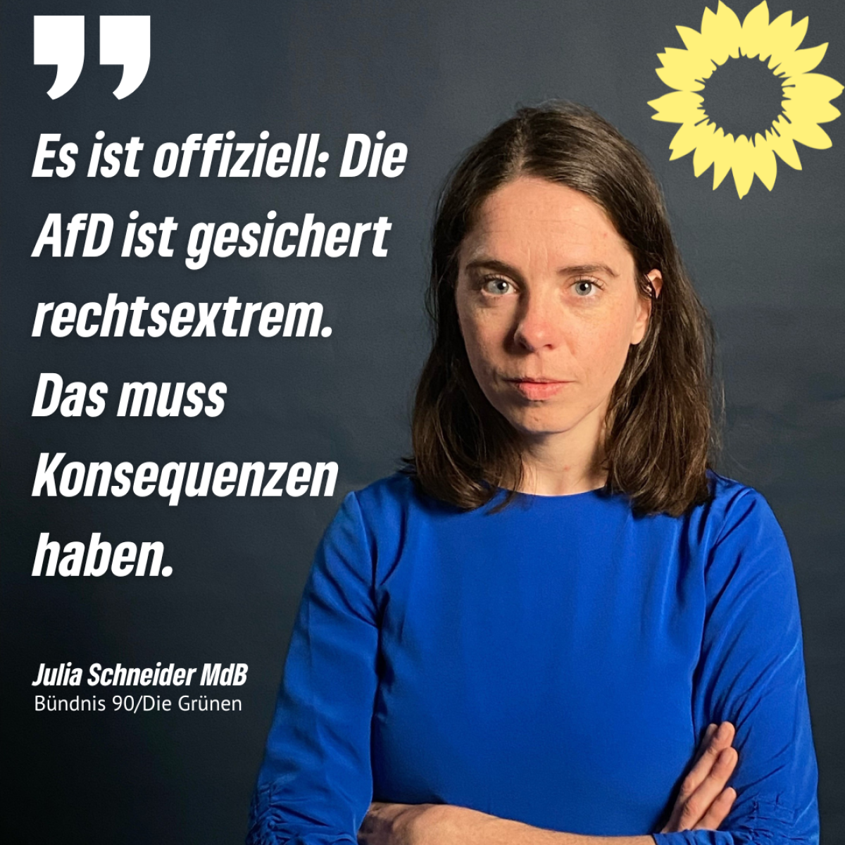 Gesichert rechtsextreme AfD verbieten!