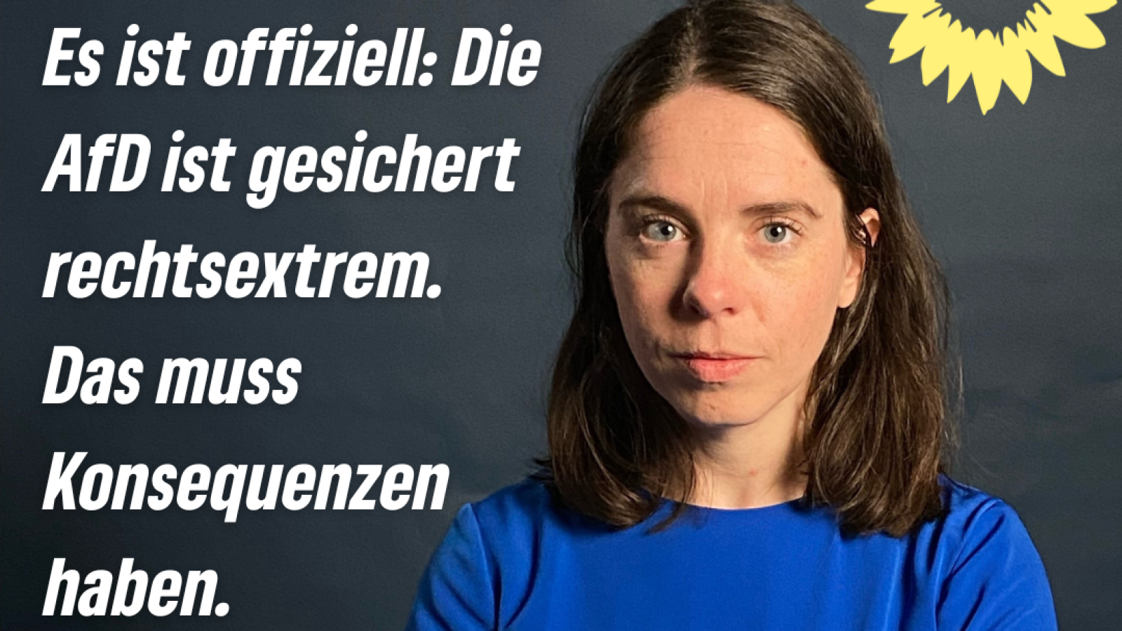 Gesichert rechtsextreme AfD verbieten!