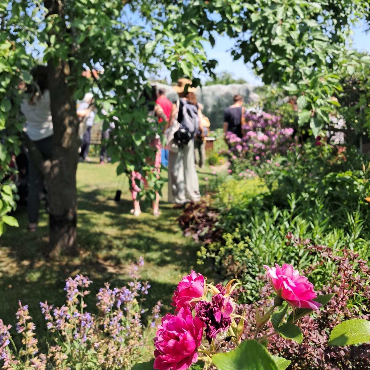 Langer Tag der StadtNatur 2025