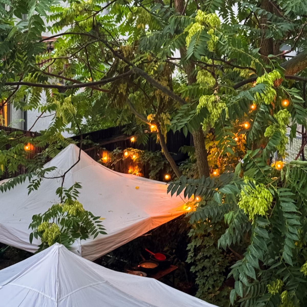 Offener Hof - Kiezfest 2025