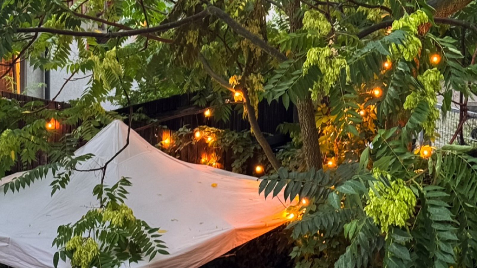 Offener Hof - Kiezfest 2025