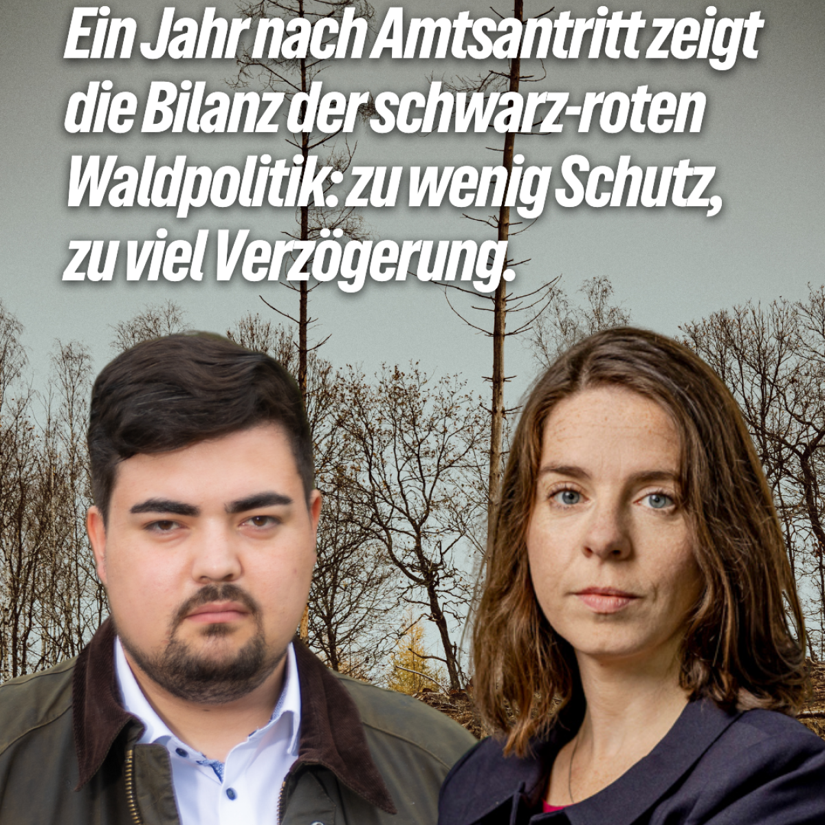 Der Wald steht unter Druck – keine Entwarnung für Deutschlands Wälder