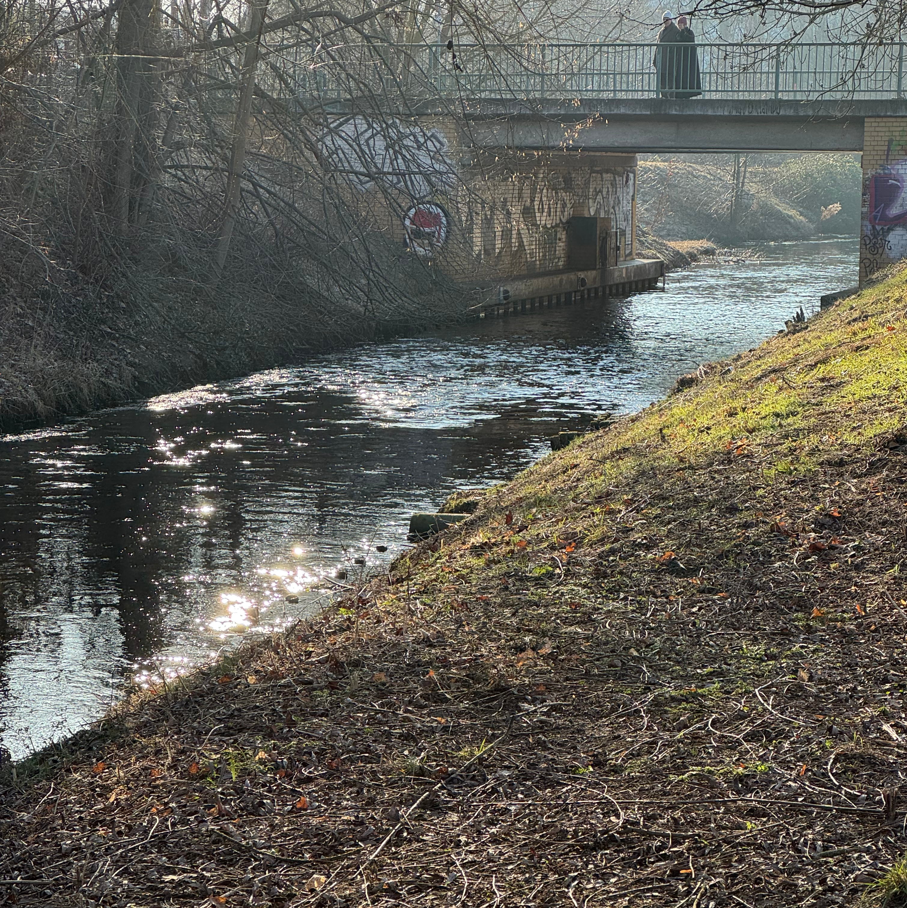 Mit Gr&uuml;nen ins Gr&uuml;ne: Panke Tour