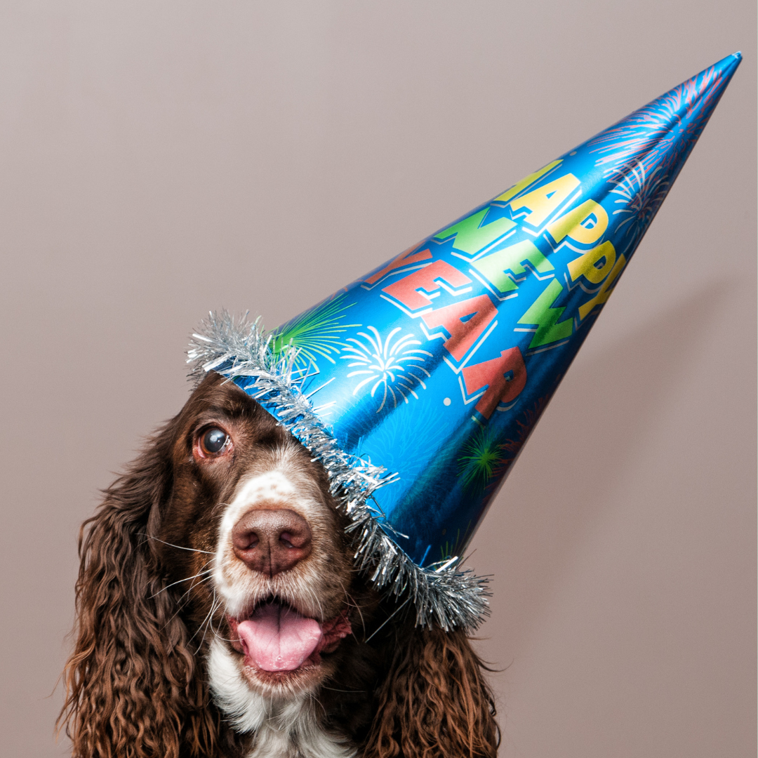 Silvester ohne B&ouml;ller